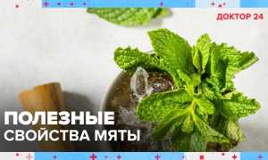 8 полезных для здоровья свойств мяты и их применение, видео и рецепты